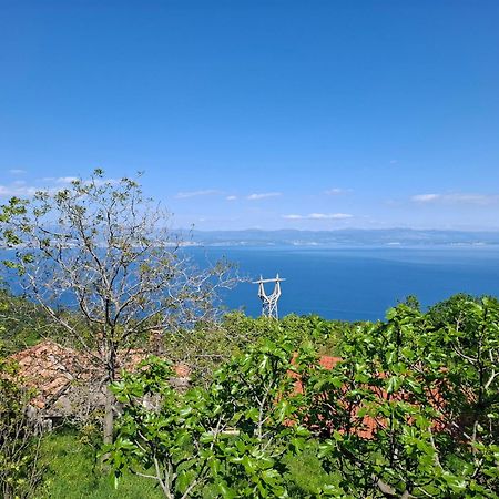 Apartments Blue & Green Moscenicka Draga Bagian luar foto