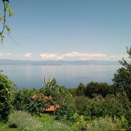 Apartments Blue & Green Moscenicka Draga Bagian luar foto