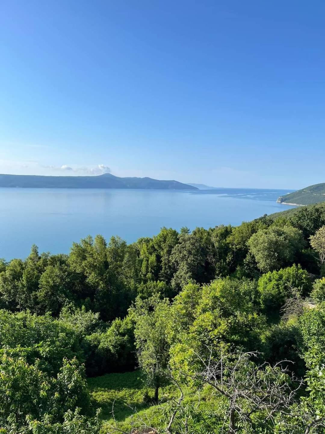 Apartments Blue & Green Moscenicka Draga Bagian luar foto