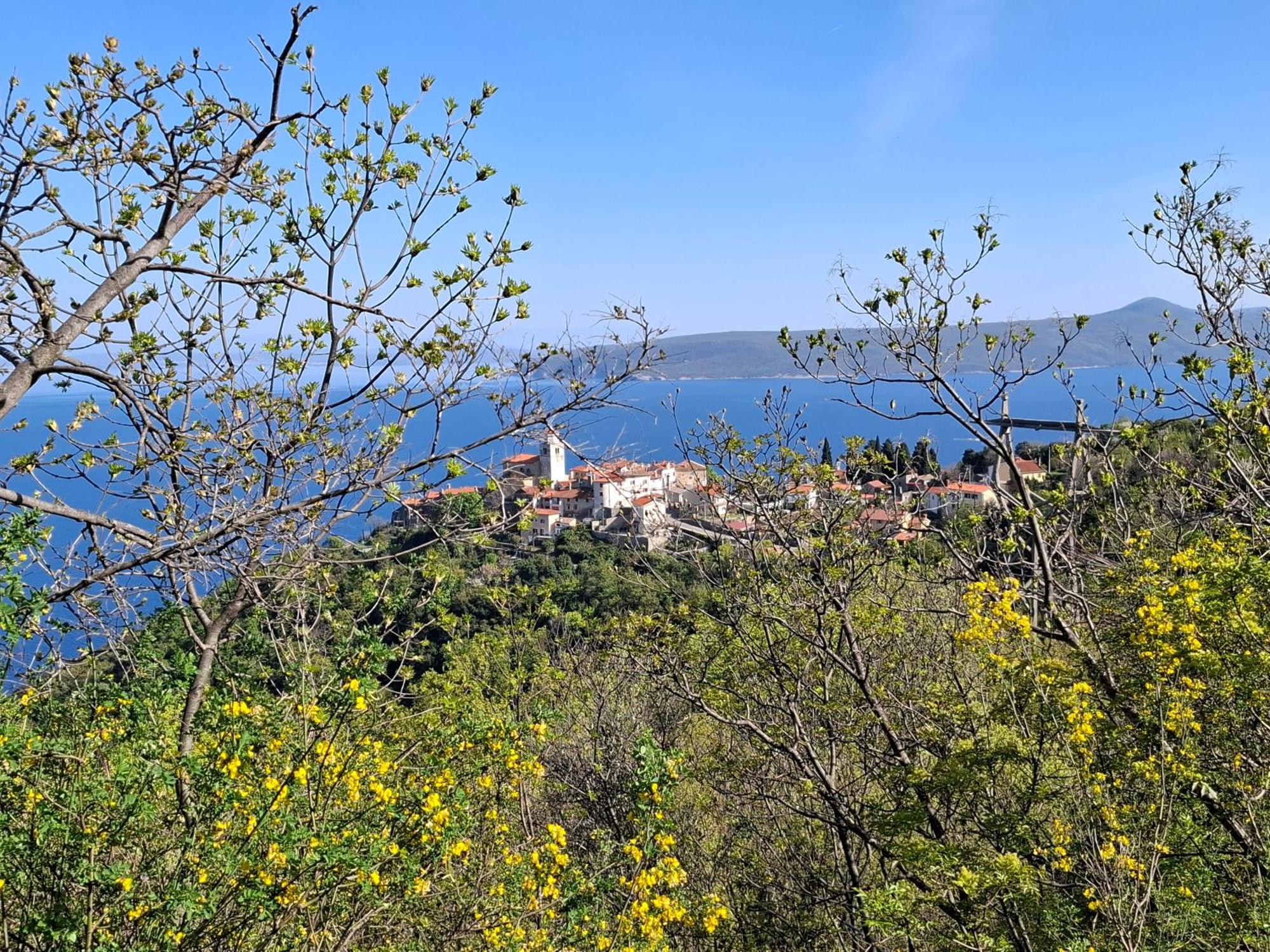 Apartments Blue & Green Moscenicka Draga Bagian luar foto