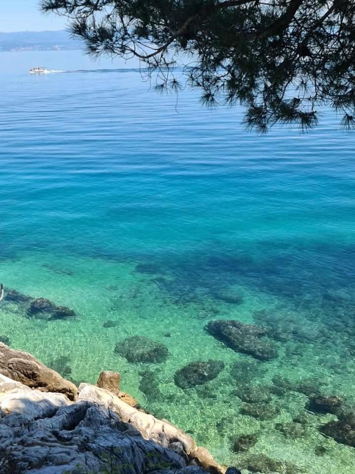Apartments Blue & Green Moscenicka Draga Bagian luar foto