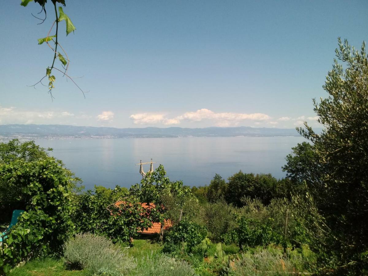 Apartments Blue & Green Moscenicka Draga Bagian luar foto